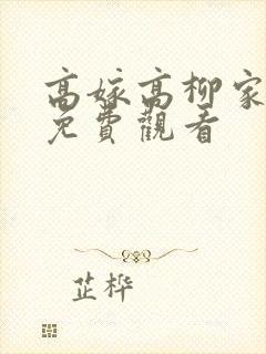 高嫁高柳家全集免费观看