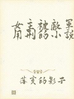 女主被敌军俘虏用刑的小说