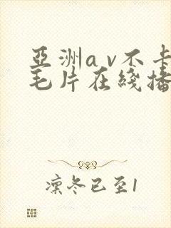 亚洲a v不卡毛片在线播放