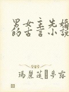 男女主先婚后爱的古言小说