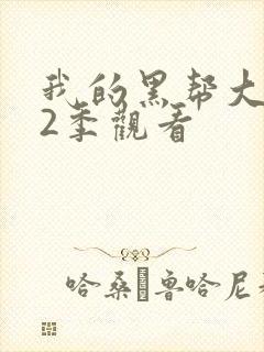 我的黑帮大佬第2季观看