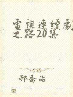 电视连续剧人生之路20集