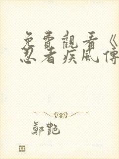 免费观看《火影忍者疾风传》的网站