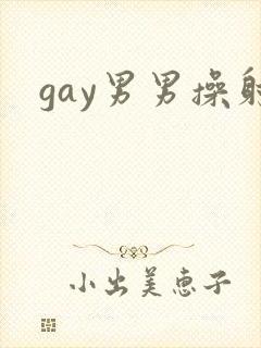 gay男男操射