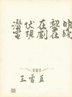 潜伏在黎明之前电视剧在线播放