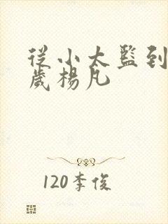 从小太监到九千岁杨凡