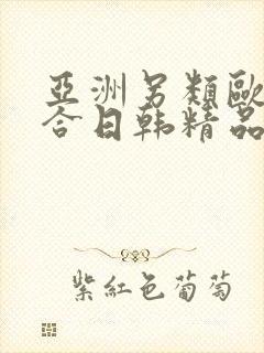 亚洲另类欧美综合日韩精品