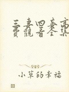 三妻四妾高清免费观看全集完整版电
