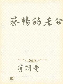 蔡畅的老公是谁