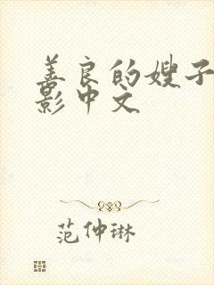 善良的嫂子3电影中文封面