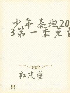 少年泰坦2003第一季免费观看