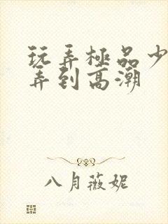 玩弄极品少妇被弄到高潮封面