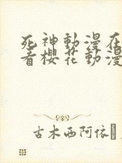 死神动漫在线观看樱花动漫