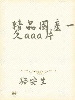 精品国产一级久久aaa片
