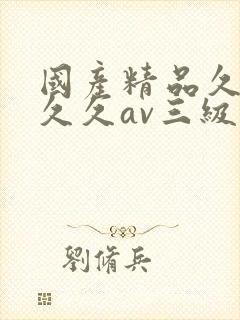 国产精品久久久久久av三级