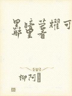 黑暗荣耀可以在哪里看