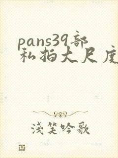 pans39部私拍大尺度模特内部