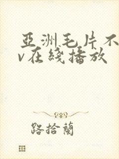 亚洲毛片不卡av在线播放