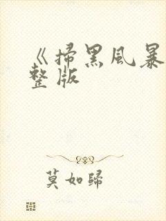 《扫黑风暴》完整版