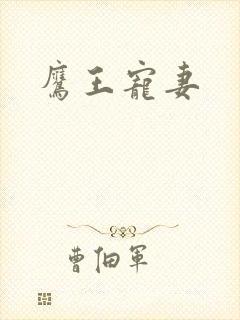 鹰王宠妻