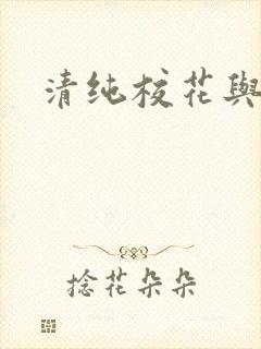 清纯校花与乞丐封面