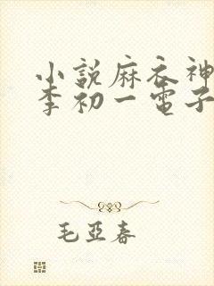 小说麻衣神算子李初一电子书全集