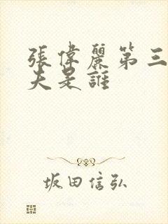 张伟丽第三任丈夫是谁封面