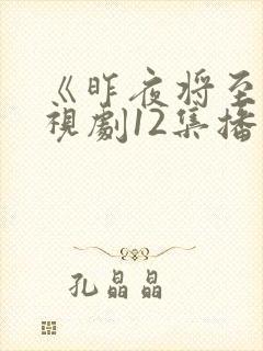 《昨夜将至》电视剧12集播放