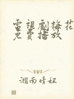 电视剧梅花儿香免费播放