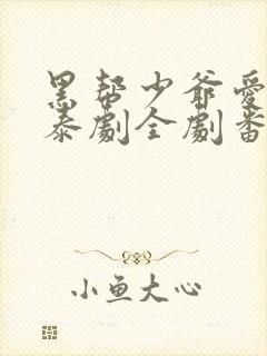 黑帮少爷爱上我泰剧全剧番外封面