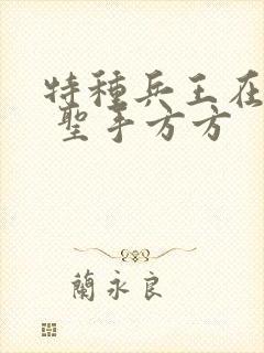 特种兵王在山村 圣手方方