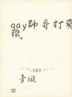 gay帅哥打飞机