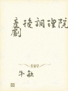 产后调理院电视剧