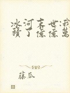 冰河末世:我囤积了亿亿万物资小说阅读全部