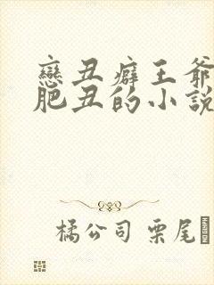恋丑癖王爷是老肥丑的小说推荐