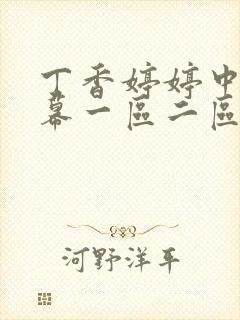 丁香婷婷中文字幕一区二区