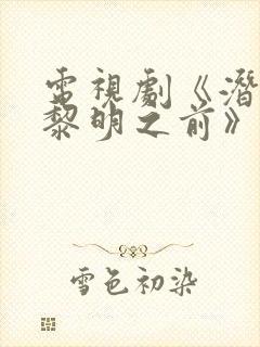 电视剧《潜伏在黎明之前》