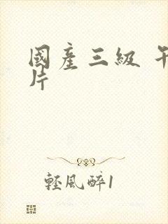国产三级 午夜片