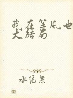 我在等风也等你大结局