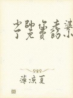 少帅你老婆又跑了免费的小说封面