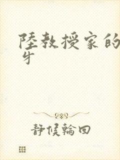 陆教授家的小月牙
