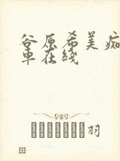 谷原希美痴汉电车在线