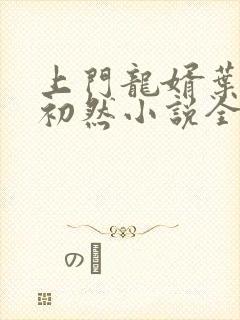 上门龙婿叶辰萧初然小说全集