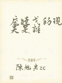 庞晓戈的现任丈夫是谁