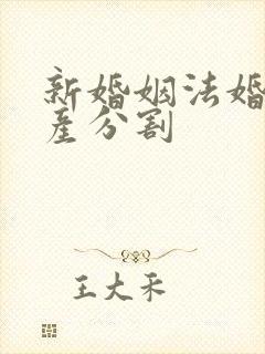 新婚姻法婚前房产分割