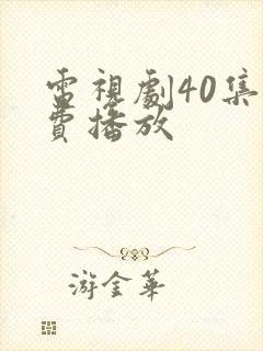 电视剧40集免费播放