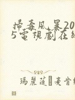 扫毒风暴2025电视剧在线观看全集封面