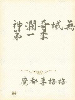 神澜奇域无双珠第一季封面