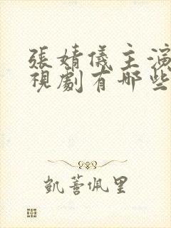 张婧仪主演的电视剧有哪些封面