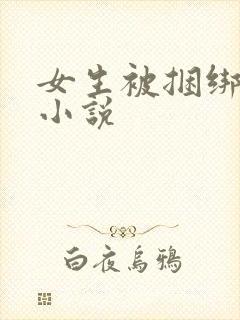 女生被捆绑调教小说